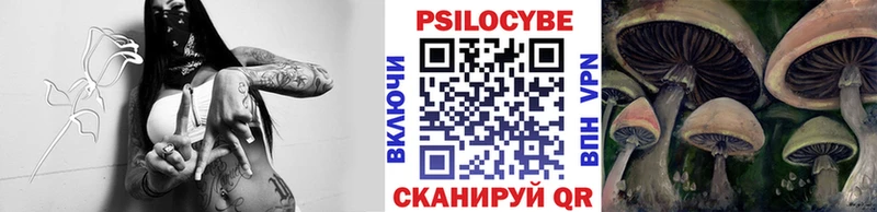 Галлюциногенные грибы ЛСД  где продают   Таштагол 
